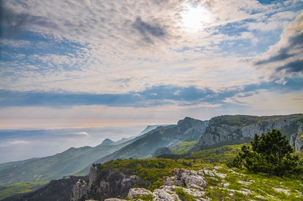 tour-image